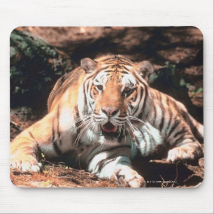 Tiger resting mouse pad