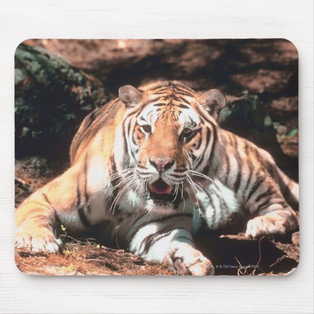 Tiger resting mouse pad (Front)