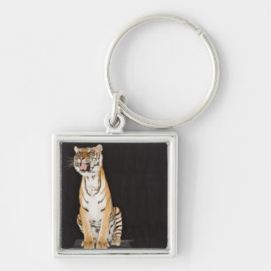 Tiger roaring key ring