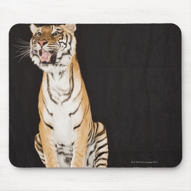 Tiger roaring mouse pad (Front)