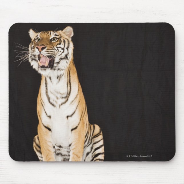 Tiger roaring mouse pad (Front)