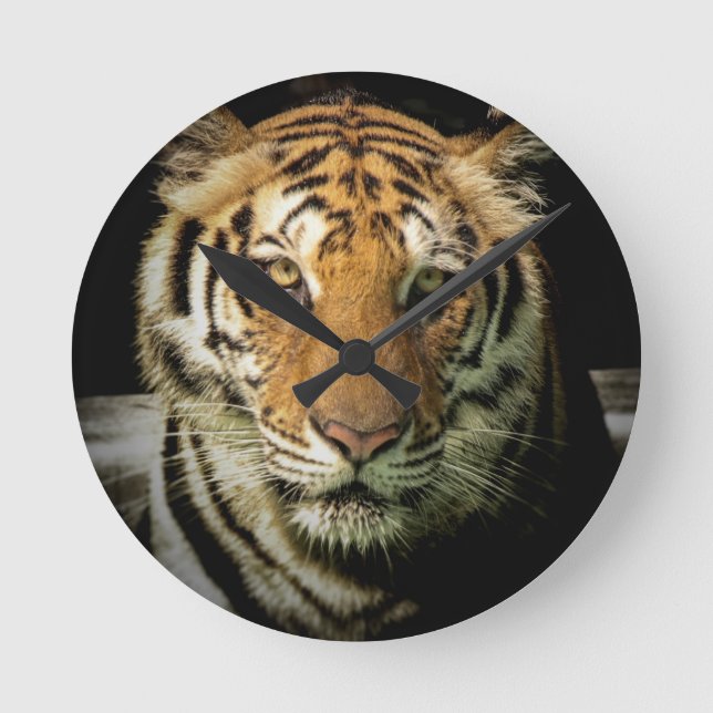 tiger round clock (Front)