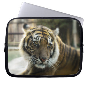 Tiger’s Grace Laptop Sleeve
