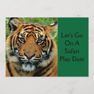 Tiger Safari Play Date Birthday Party Invitations