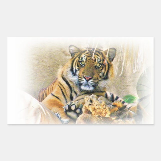 Tiger,Seeking_ Rectangular Sticker (Front)