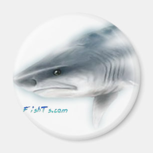 Tiger Shark Head Magnet