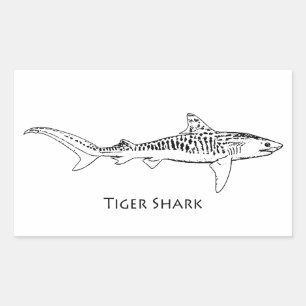Tiger Shark Illustration Rectangular Sticker