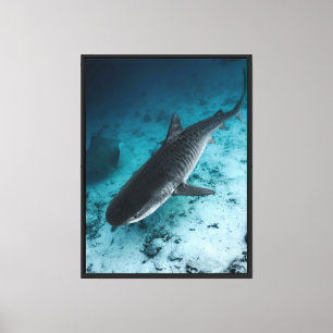 Tiger Shark Underwater Ocean Wildlife Canvas Wall Print
