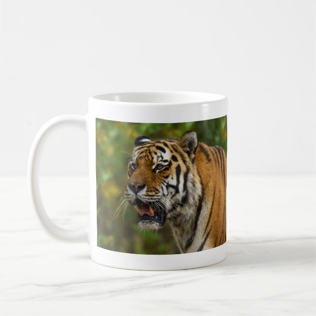Tiger Showing His Teeth Coffee Mug (Left)