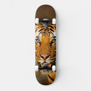 Tiger Skateboard