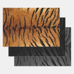 Tiger Skin Print on three colors Wrapping Paper Sheet