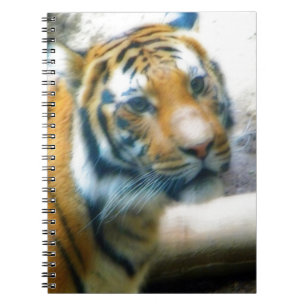 Tiger Spiral Notebook