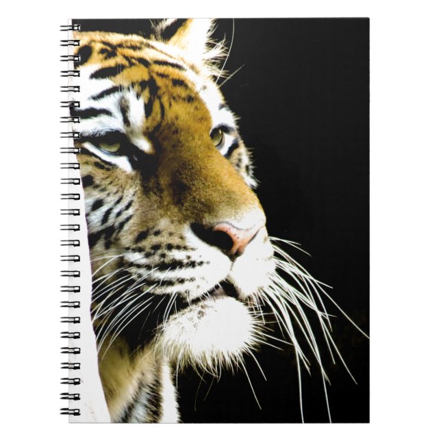 Tiger Spiral Notebook (Front)