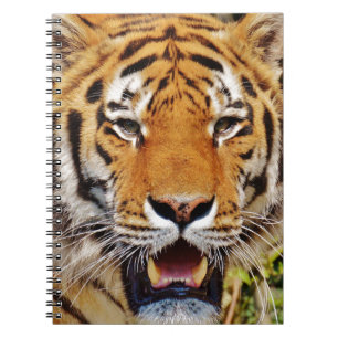 Tiger Spiral Notebook