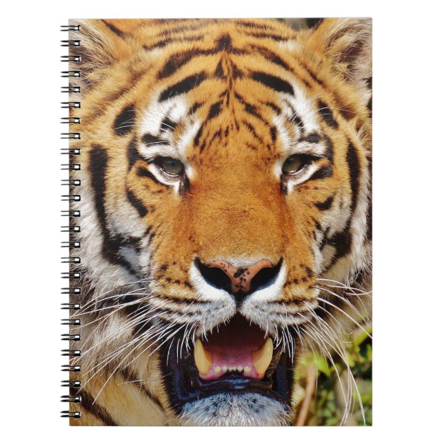 Tiger Spiral Notebook (Front)