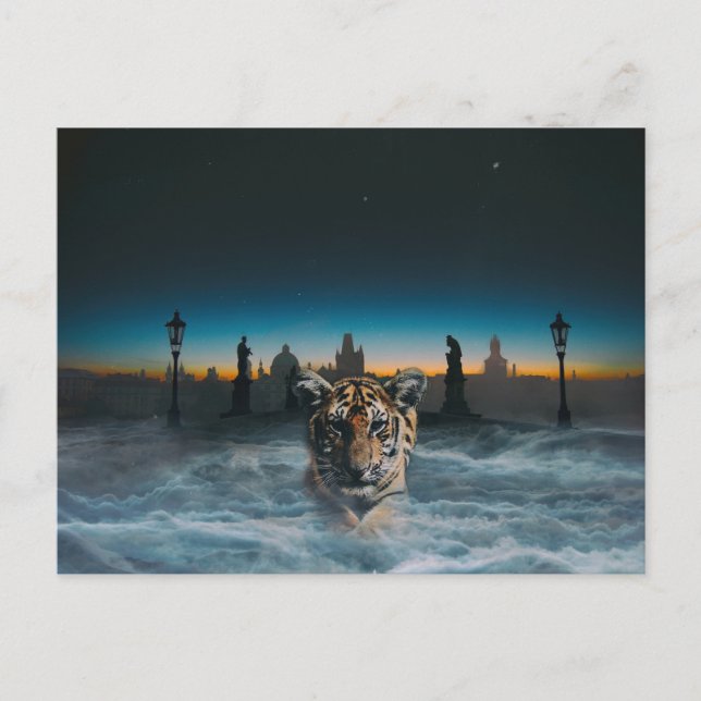 tiger spirit postcard (Front)