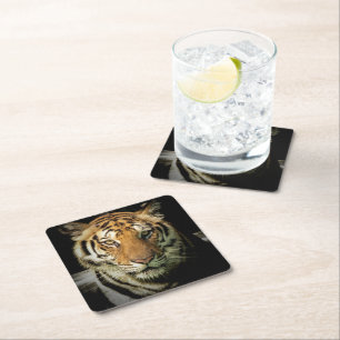 tiger square paper coaster