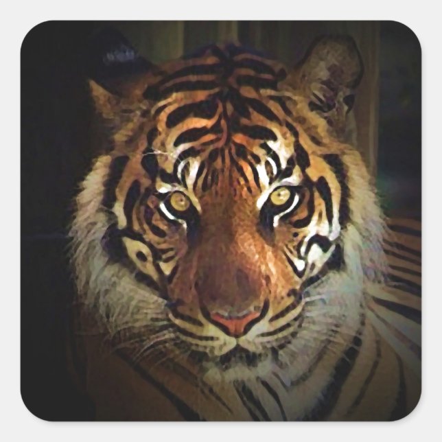 Tiger Square Sticker (Front)