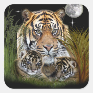 Tiger Square Sticker