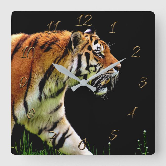 Tiger Square Wall Clock (Front)