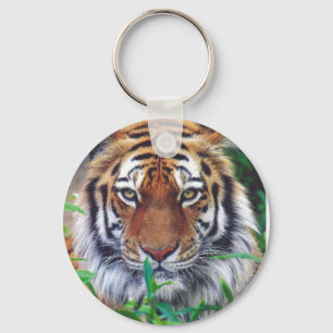 Tiger Stare Key Ring