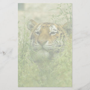tiger stationary stationery