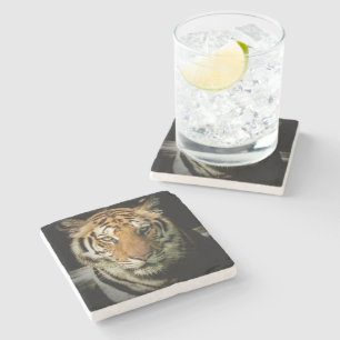 tiger stone coaster