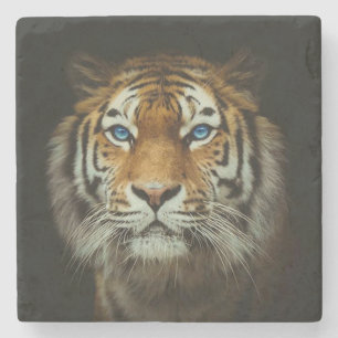 Tiger Stone Coaster