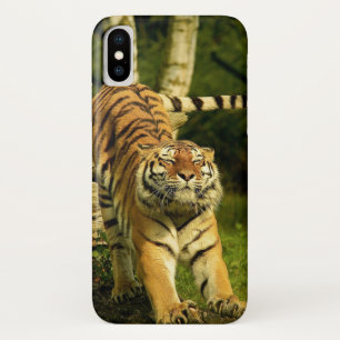Tiger Stretching Good Morning World Case-Mate iPhone Case