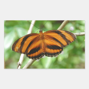 Tiger Stripe Butterfly Rectangular Sticker