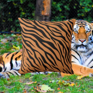 Tiger Stripe Cushion
