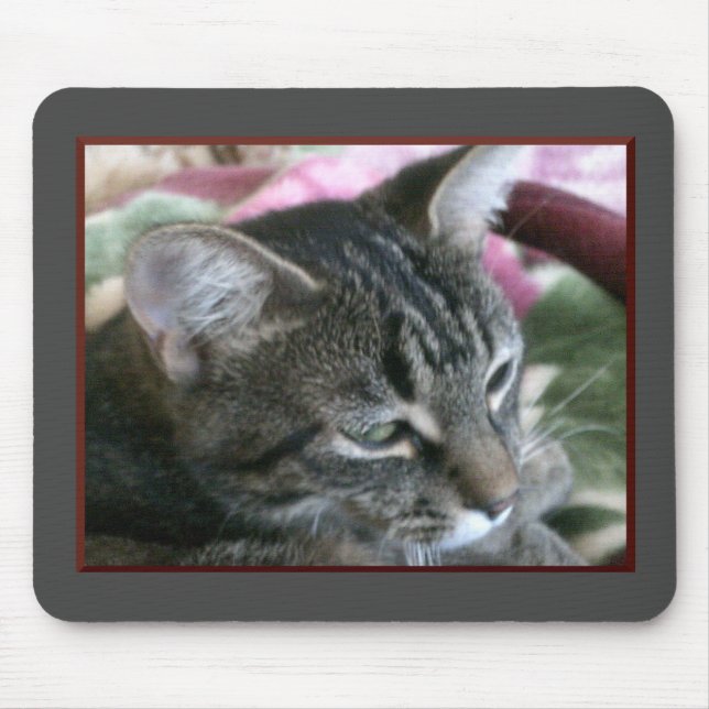 Tiger Stripe Kitty Mouse Pad (Front)