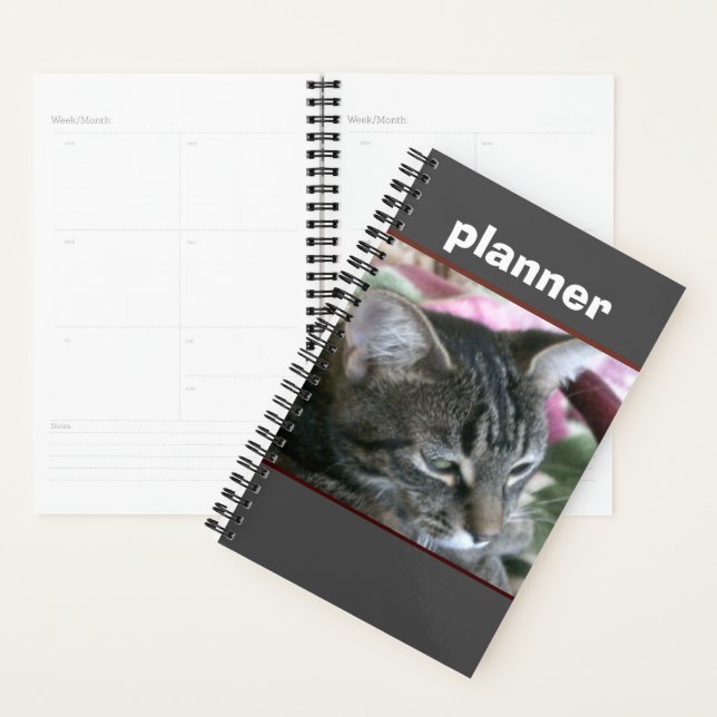 Tiger Stripe Kitty Planner (Display)