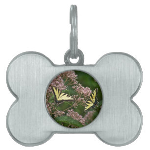Tiger Swallowtail Butterflies on Joe Pye Weed Pet ID Tag