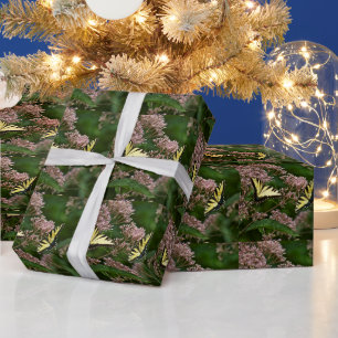 Tiger Swallowtail Butterflies on Joe Pye Weed Wrapping Paper