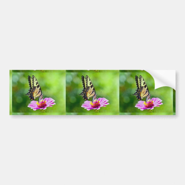 Tiger Swallowtail Butterfly Bumper Sticker (Front)
