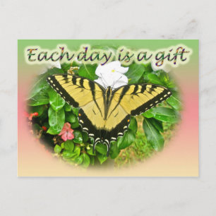 Tiger Swallowtail Butterfly Each Day is a Gift Postcard