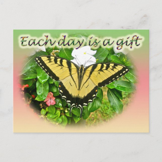 Tiger Swallowtail Butterfly Each Day is a Gift Postcard (Front)