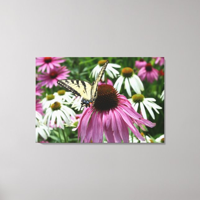 Tiger Swallowtail Butterfly Flower Canvas Print (Front)