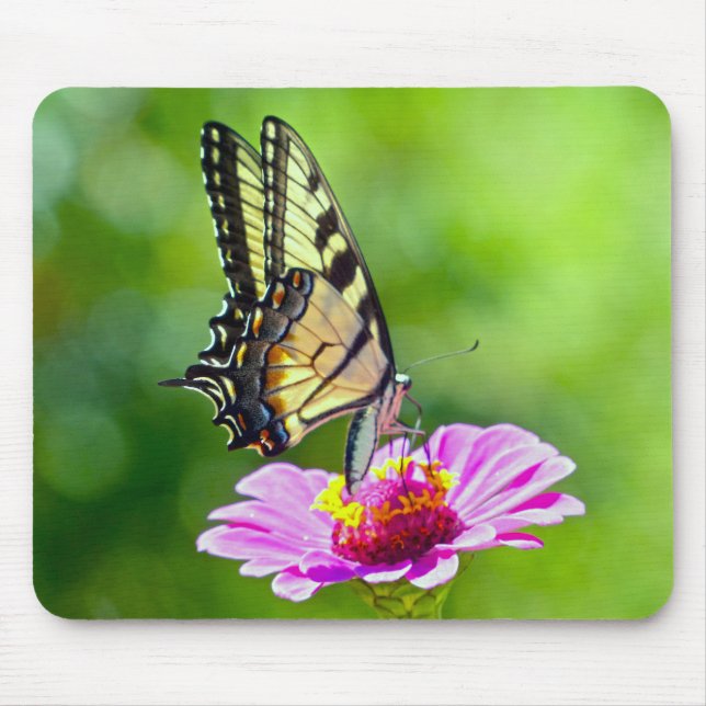 Tiger Swallowtail Butterfly Mouse Pad (Front)