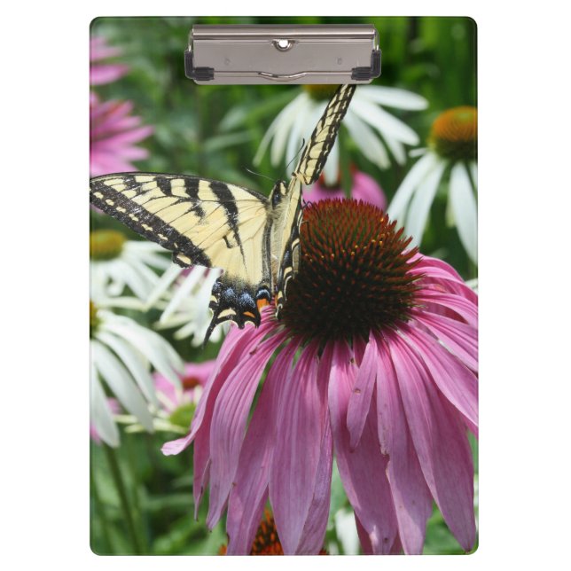 Tiger Swallowtail Butterfly On Flower Clipboard (Front)
