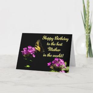 Tiger Swallowtail Butterfly on Phlox - Birthday Mo Card