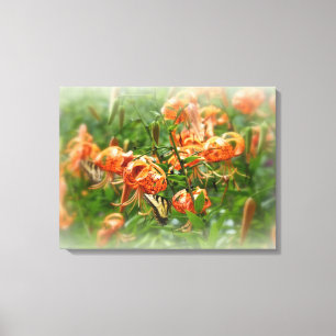 Tiger Swallowtail Butterfly on Turk's Cap Lilies Canvas Print