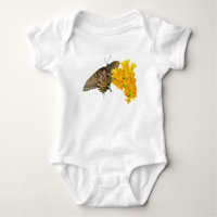 Tiger Swallowtail Butterfly (Papilio glaucas) Item