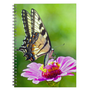 Tiger Swallowtail Butterfly Spiral Notebook