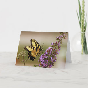 Tiger Swallowtail Card