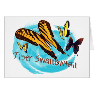tiger swallowtail products
