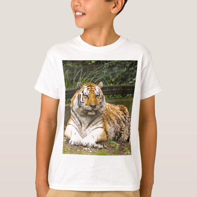 Tiger T-Shirt (Front)
