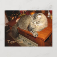 Tiger Tail