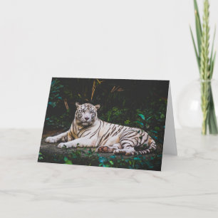 Tiger Thank You Card